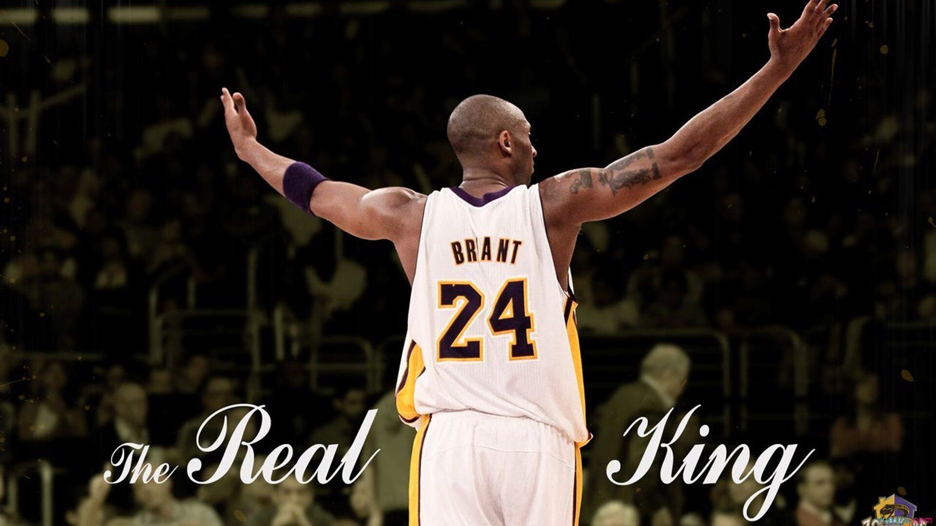 九游下载官方正版-年度盛事:全球顶尖选手云集一堂